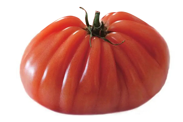 無(wú)土栽培，無(wú)土栽培技術(shù)，無(wú)土栽培設(shè)備