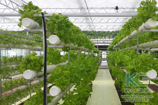 無土栽培，無土栽培技術，無土栽培設備
