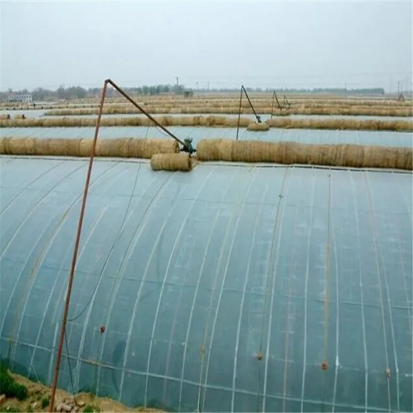 無土栽培，無土栽培技術(shù)，無土栽培設(shè)備