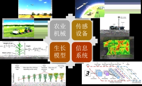無土栽培，無土栽培技術，無土栽培設備
